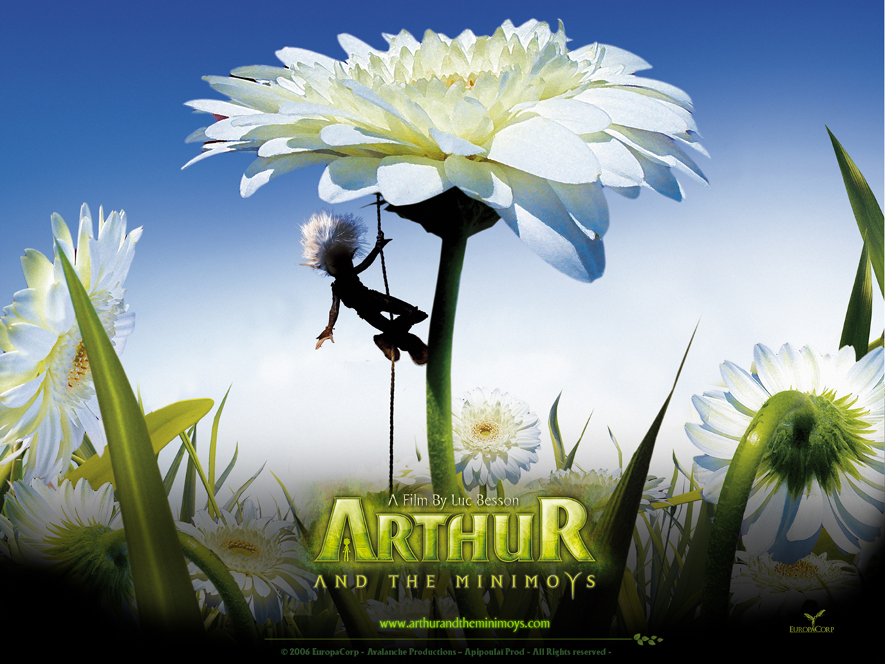 arthur a minimojove 3.jpg