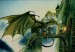 green-dragon-wallpaper-01.jpg